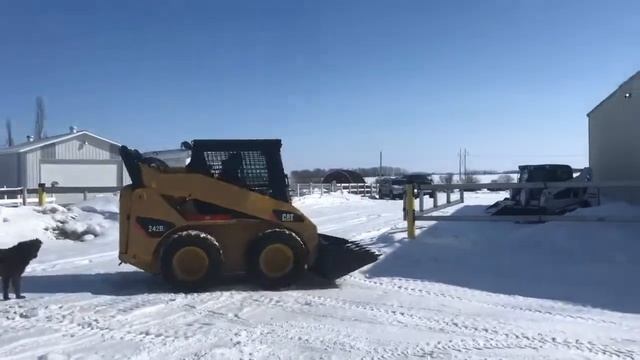 2008 CATERPILLAR 242B For Sale