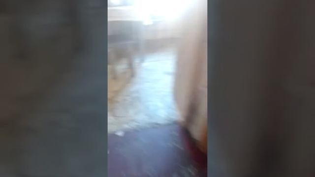 Призрак дома!!!😨 смотреть онлайн