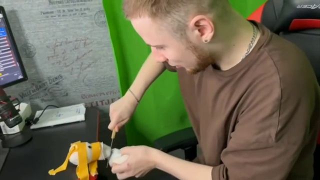 Тик так убил гриба