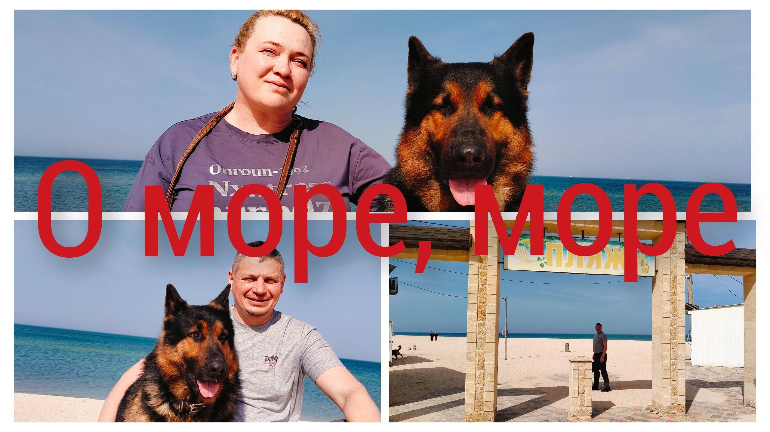 Айда на море!Релакс.Полезности для растишек. смотреть онлайн