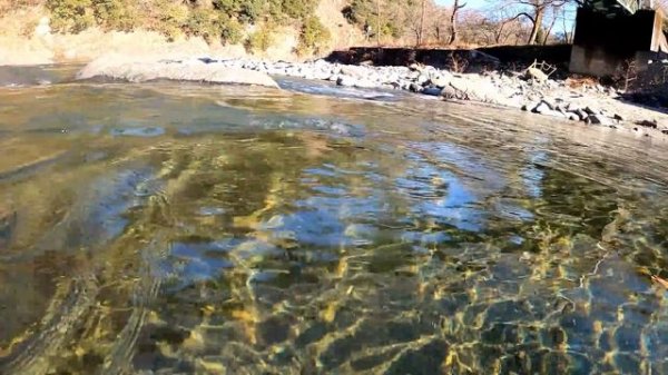 Happy New Year! The first day of the year is always the river! [Noro Lodge Life]【カワウソアティとにゃん先輩】