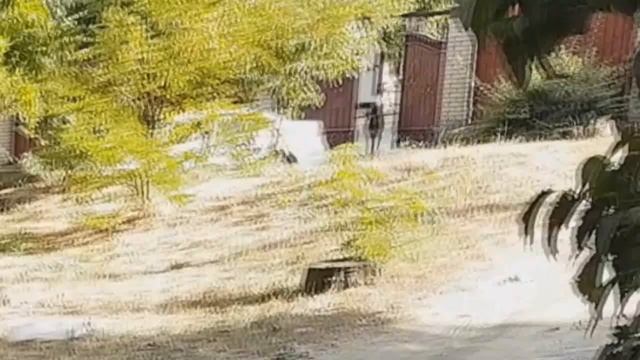 День рождения Рины (Анонс стрима) смотреть онлайн