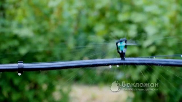 Микроспринклер MS1101A 30 л/ч в работе смотреть онлайн