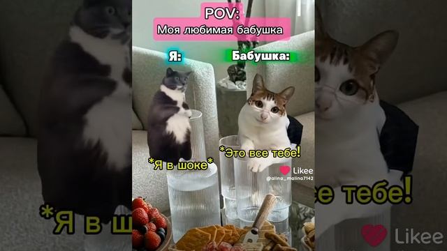 1000053313.mp4 смотреть онлайн