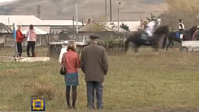 Строительство манежа для занятий конным спортом смотреть онлайн