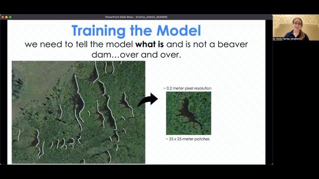 The EEAGER Beaver Model: how we are using machine learning to find beaver dams in aerial imagery смотреть онлайн