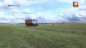 На контроле заготовка кормов и уборочная. 16.09.2020