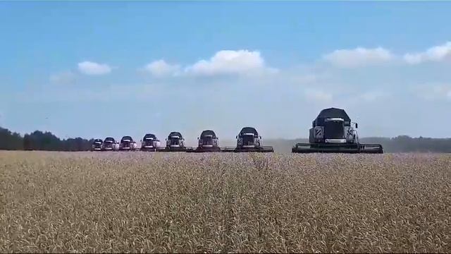 Уборка-урожая23.рф — аренда комбайнов в Краснодарском крае смотреть онлайн