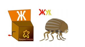 Алфавит для детей - Буква Ж - шкатулка с буквами