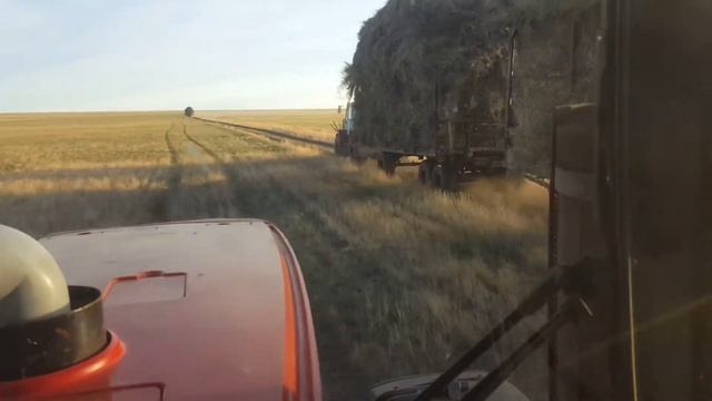 гонки на тракторах смотреть онлайн