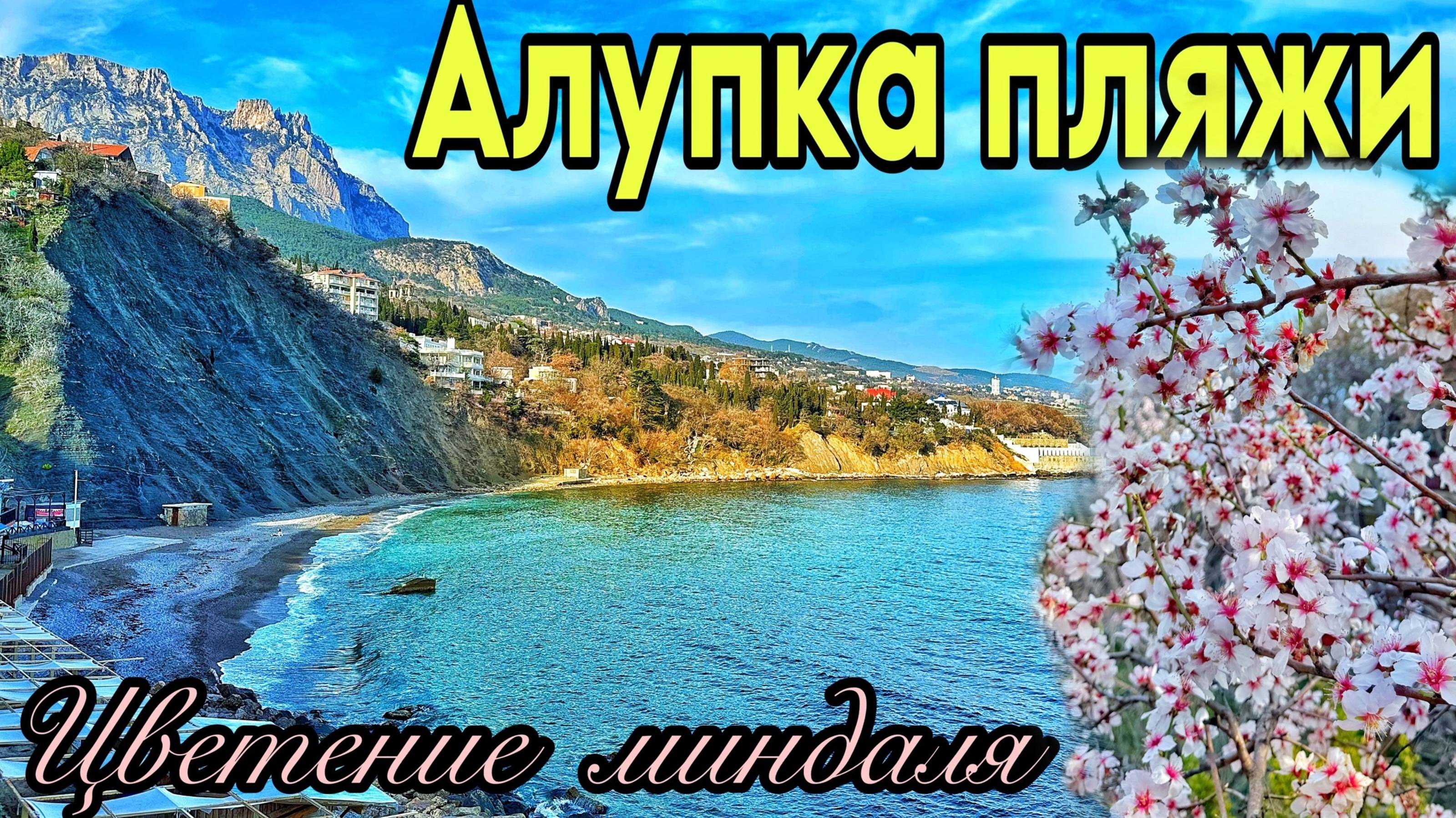 Алупка сегодня: ЦВЕТЕТ МИНДАЛЬ! Дикие пляжи, Черный бугор, отель Зеленый мыс. КРЫМ отдых 2025 смотреть онлайн