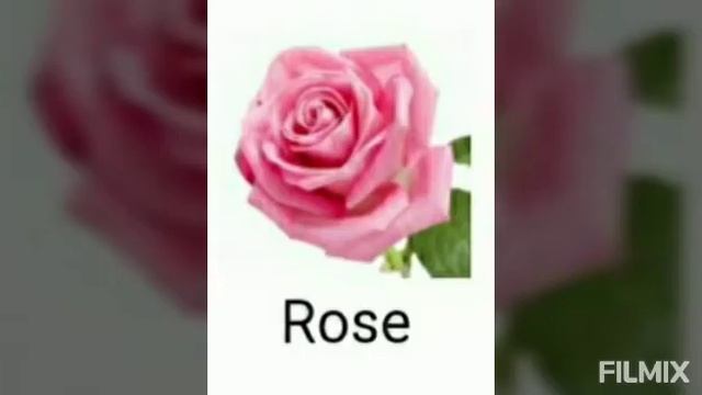 Sì Passione - Giorgio Armani Fragrance notes смотреть онлайн