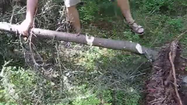 Chopping with 12" Barong machete смотреть онлайн