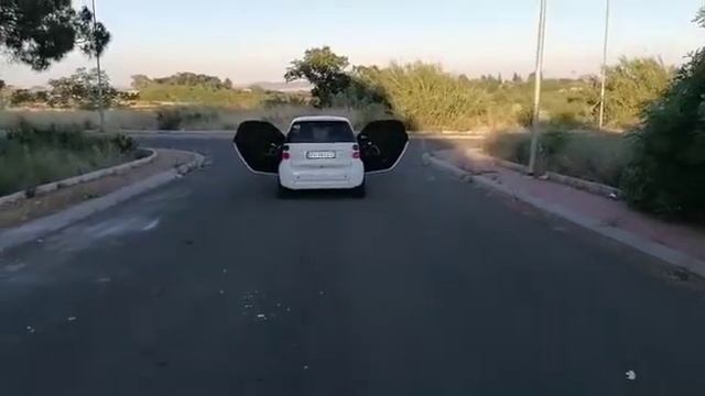 Pride Solo Evo 6.5 - Ci Trovate Su 