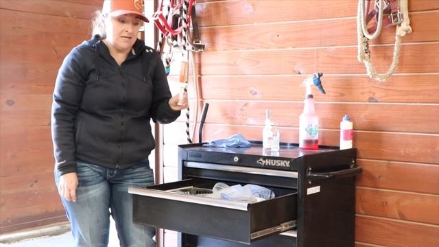 Whats in your Foaling Kit смотреть онлайн