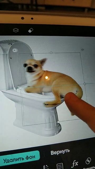 😂СЫН УПАЛ В УНИТАЗ🐕///🐹ХОМЯЧОК И ХИЛЬДОЧКА🐕 смотреть онлайн