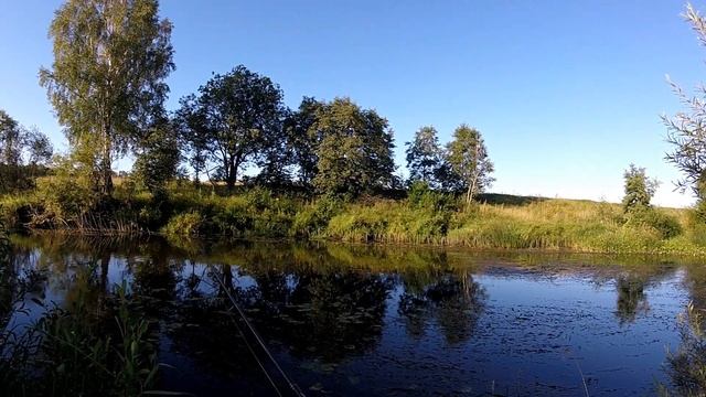 С щукой не везет, судак спасет. Романтика глухолетья. смотреть онлайн