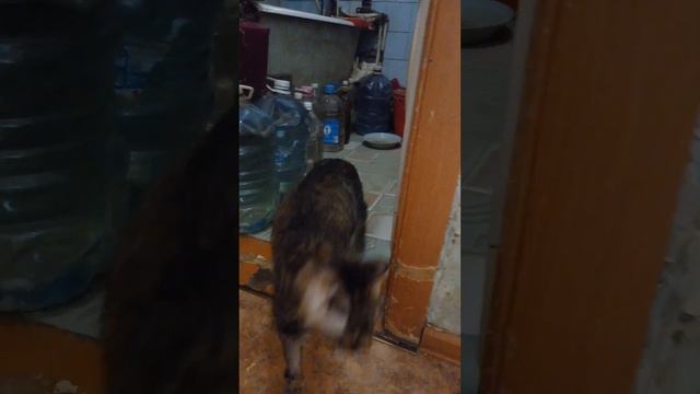 После капельницы смотреть онлайн