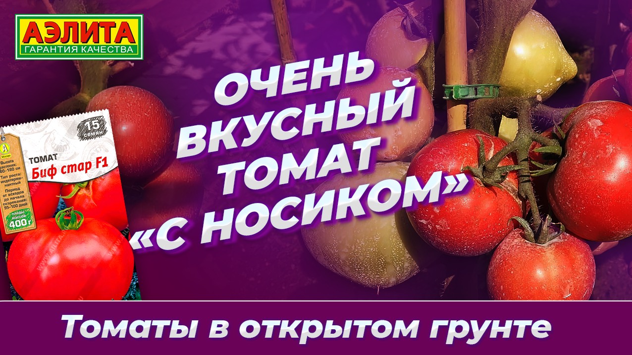 Очень вкусный томат «с носиком» - БИФ СТАР F1 в ОТКРЫТОМ ГРУНТЕ смотреть онлайн