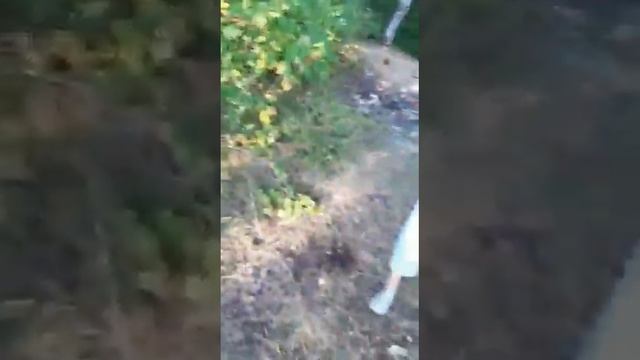 мой друг перед выборами. смотреть онлайн