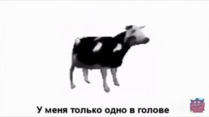 КОРОВА ТАНЦУЕТ ПОД МУЗЫКУ/ПЕРЕВОД/КОРОВА ТАНЦУЕТ