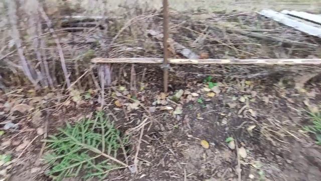 обзор глазами мужа/ осенний огород и пересадка винограда смотреть онлайн