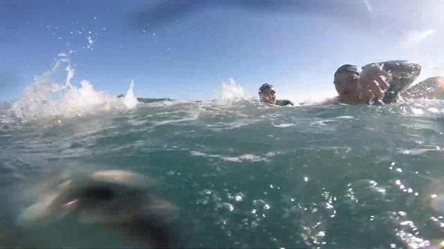 SWIM OPENWATER LIGERTRI TRAINING PRO_GRAM смотреть онлайн