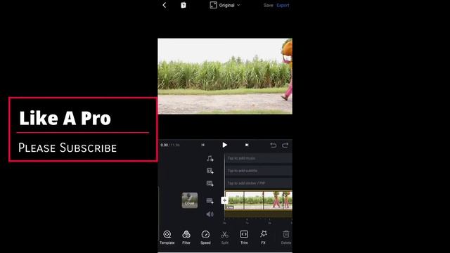 Village Woman Hardworking Video Color Grading In VN Video Editor App | Video Editor App episode 24 смотреть онлайн