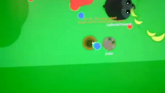 Игра mope.io смотреть онлайн
