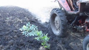 Пахота 2018 Трактор т25 и плуг BOMET 2 25