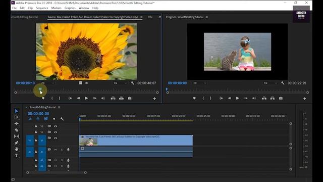Learn Adobe Premiere Pro In 19 Minutes - Basic Editings For Beginners English смотреть онлайн