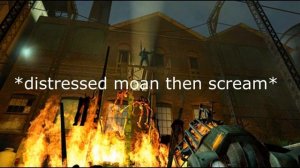 Half Life 2 Zombie Cries For Help /Headcrab Zombie Noises Reversed/