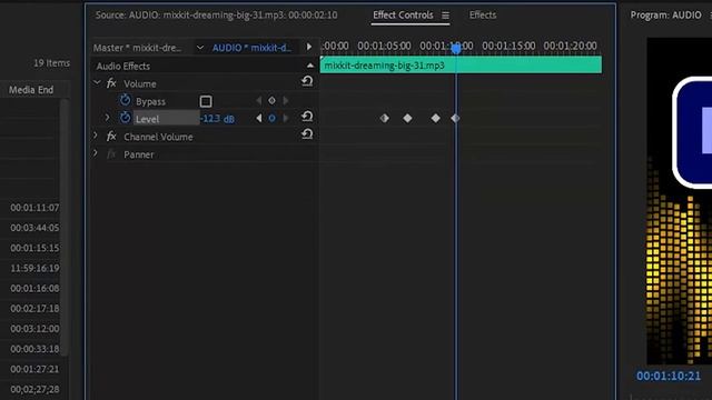 AUDIO/GAIN/SOUND/VOLUME | PREMIERE PRO (URDU-HINDI)