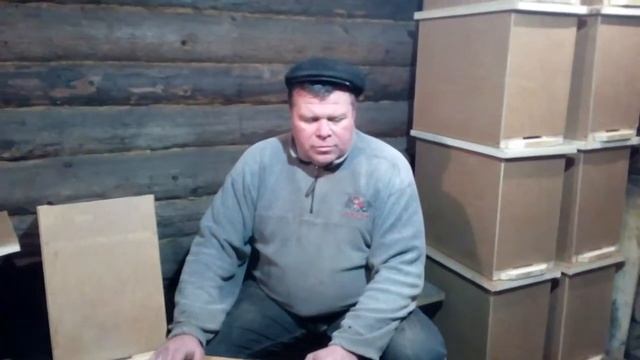 Ловушки смотреть онлайн