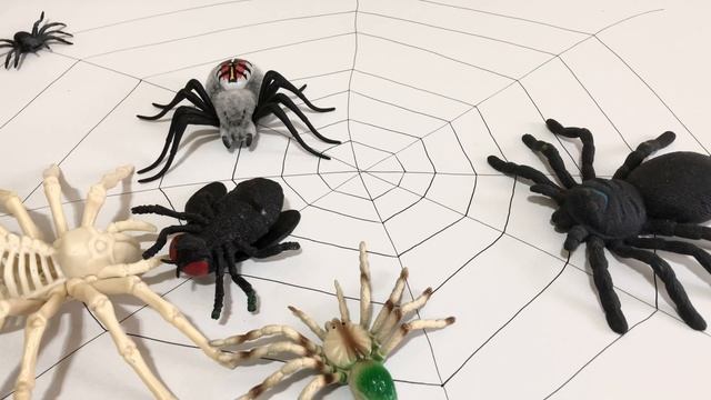 Zuru Robo Alive.Spider Attack With Spider Toys From Zuru. Insects Toys. смотреть онлайн