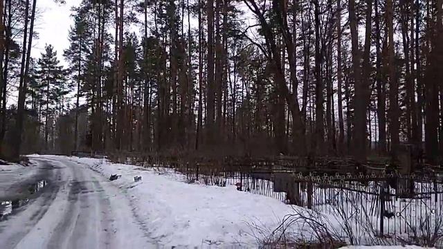 Санкт-Петербург Россия Бобочино Поляны Северное Побережье Финского Залива март лета 2024/7533 смотреть онлайн