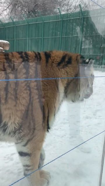 13 мая 2024 г. смотреть онлайн