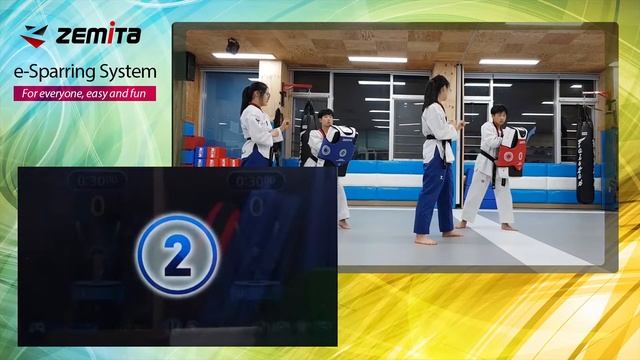 ZESS E-Chest Guard смотреть онлайн