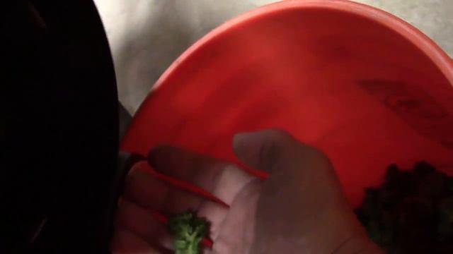 Centurion Pro Mini Trimmer UnBoxing Video 2 of 2 смотреть онлайн