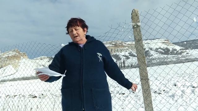 стихотворение