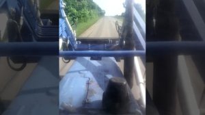 За стучал движок на МТЗ 80