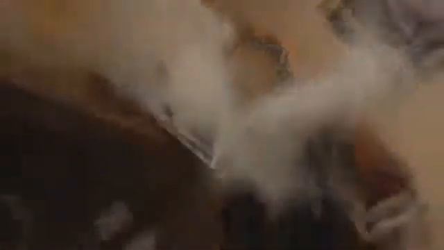 Злой дед разбил планшет сына смотреть онлайн