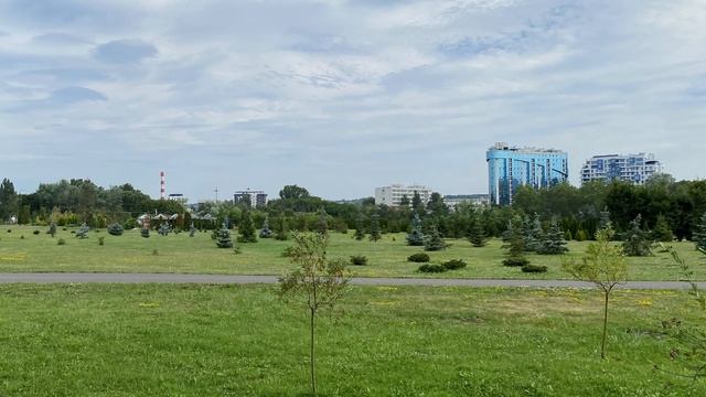 În drum spre serviciu, doctorul a trecut prin parc și a cumpărat 5 margarete de la fată, iar într-o смотреть онлайн