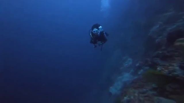 Scuba Diving Girl