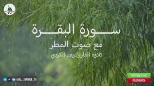 Коран. Сура Аль Бакара. Красивое чтение Корана под звуки дождя. Успокаевает душу и сердце