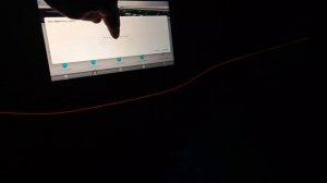 Список различных вариантов анимации Elden