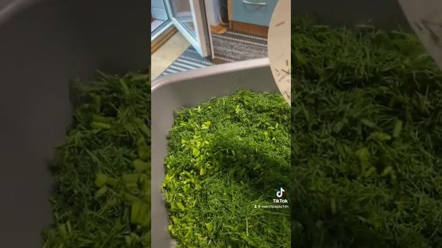 Заготовка Кропу і Зеленої Цибулі на Зиму @Galina-Yakovleva смотреть онлайн