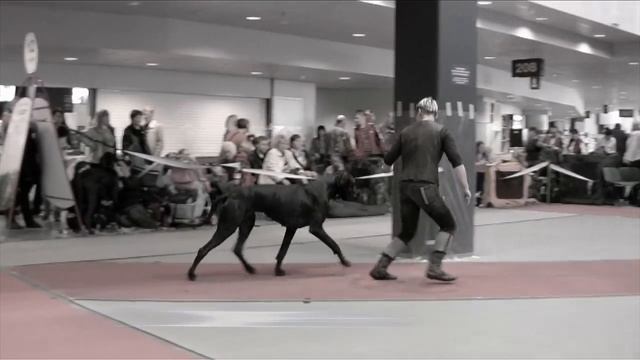 Retiming with Motion Optical Flow