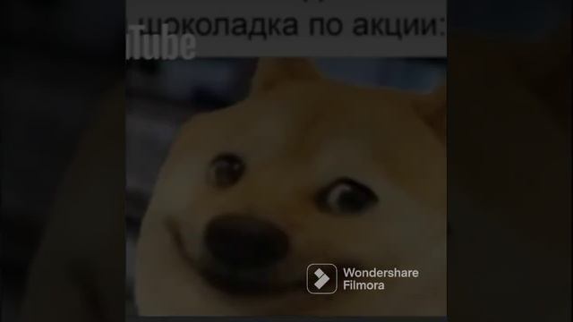 #мем смотреть онлайн