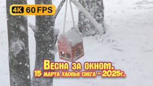 Весенние хлопья снега - Снег в середине марта! 4К